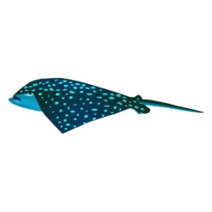 Spotted Eagle Ray